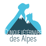 logo clinvetdeslapes